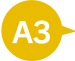 A3